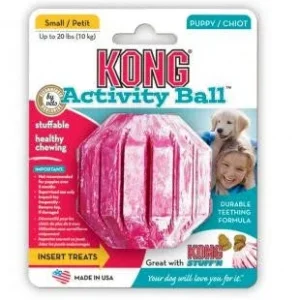 KONG Activity Ball Puppy Toy Assorted SM