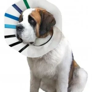KONG E-Collar Clear/Blue/Black King