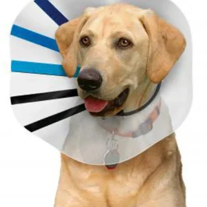 KONG E-Collar Clear/Blue/Black XL