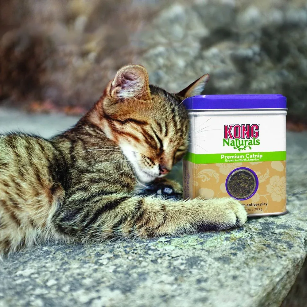 KONG Naturals Premium Catnip - Image 2