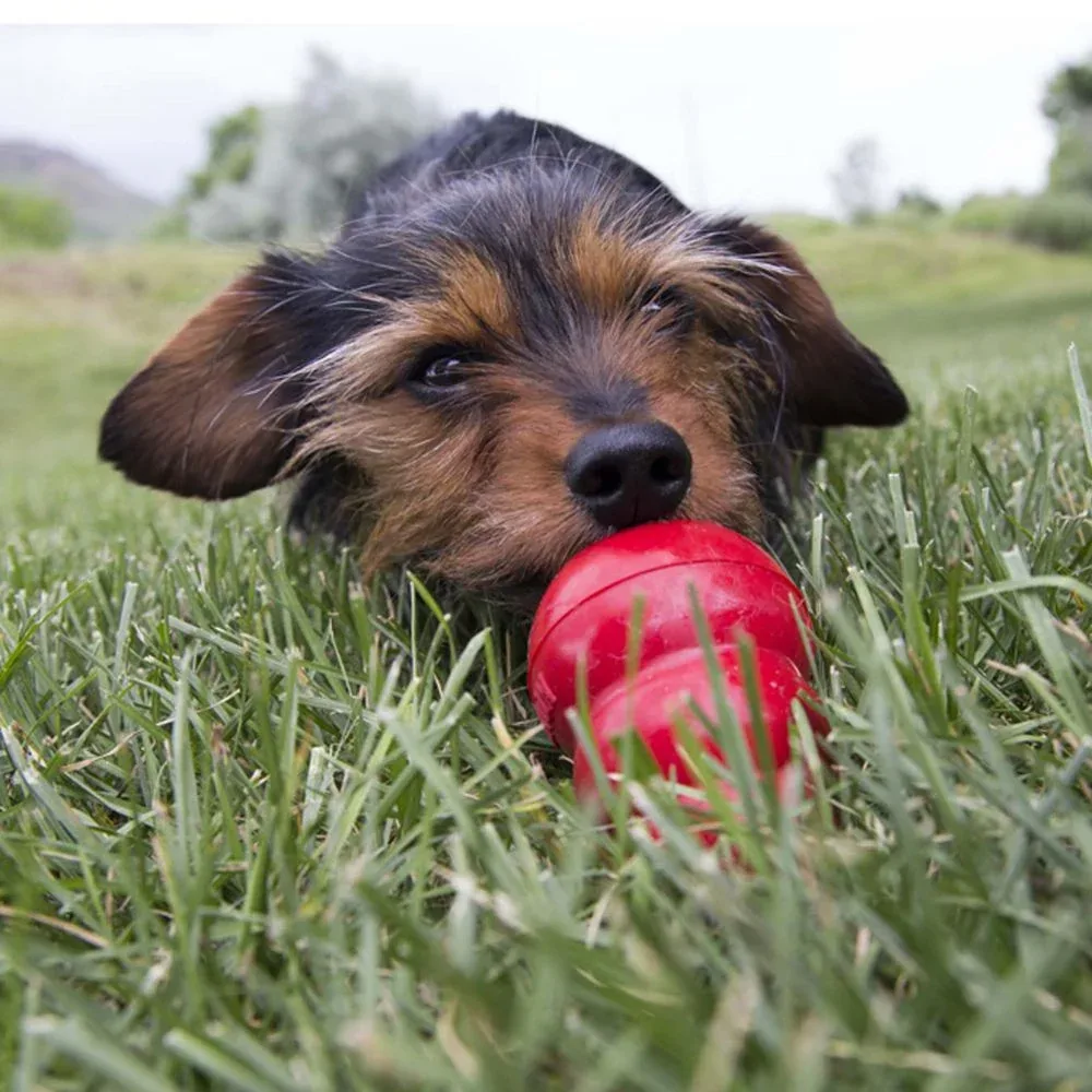KONG Peanut Butter Easy Treat for Dogs - Image 2