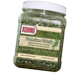 KONG Premium Catnip 2oz