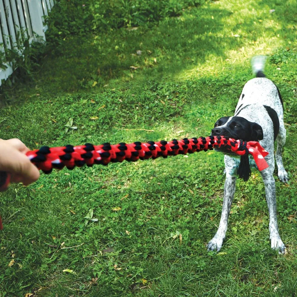 KONG Signature Rope Double Tug Dog Toy - Image 2
