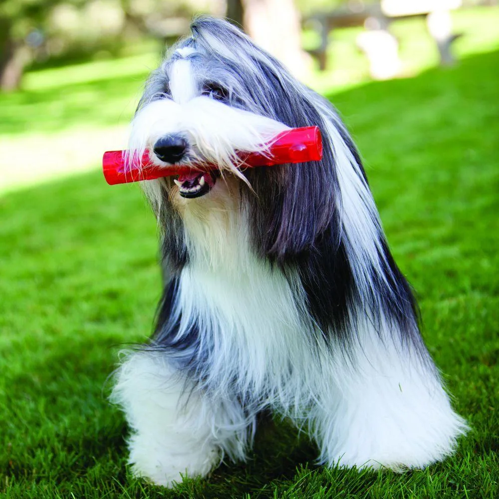 KONG Squeezz Stick Dog Toy - Image 2