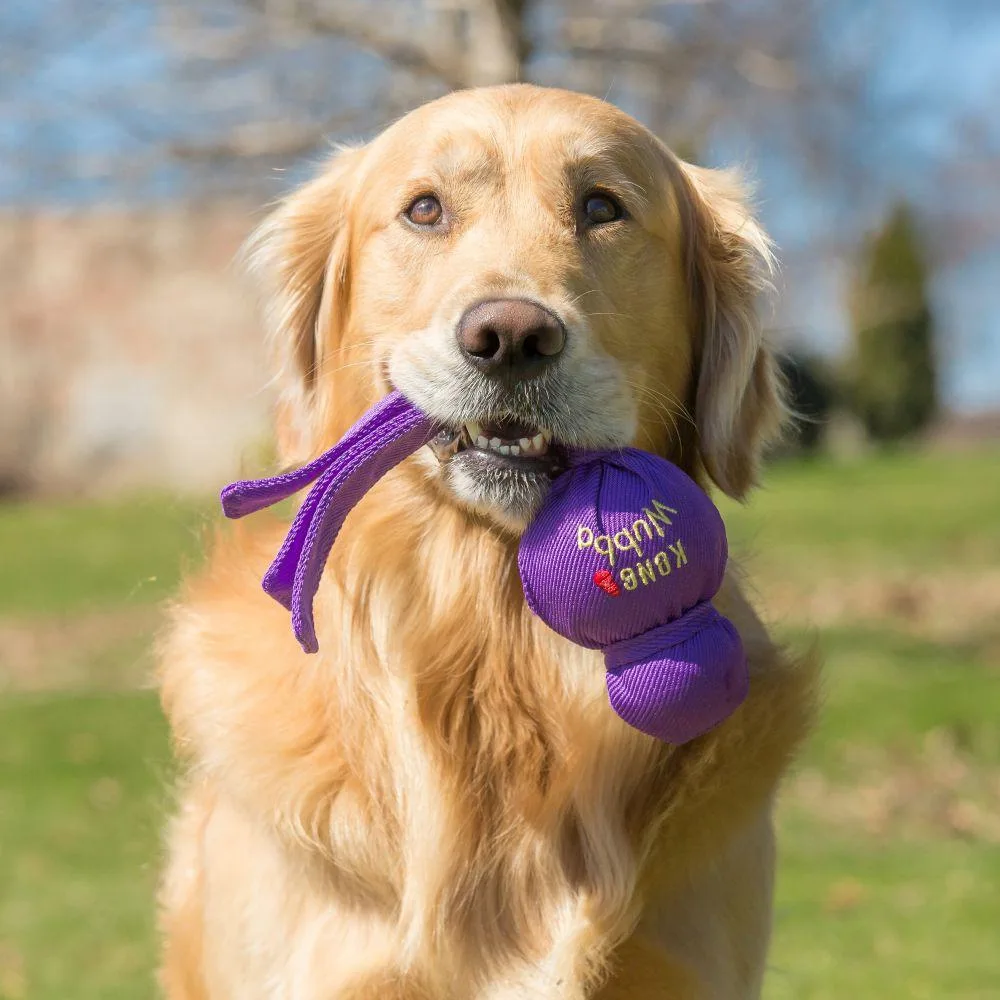 KONG Wubba Classic Dog Toy - Image 2
