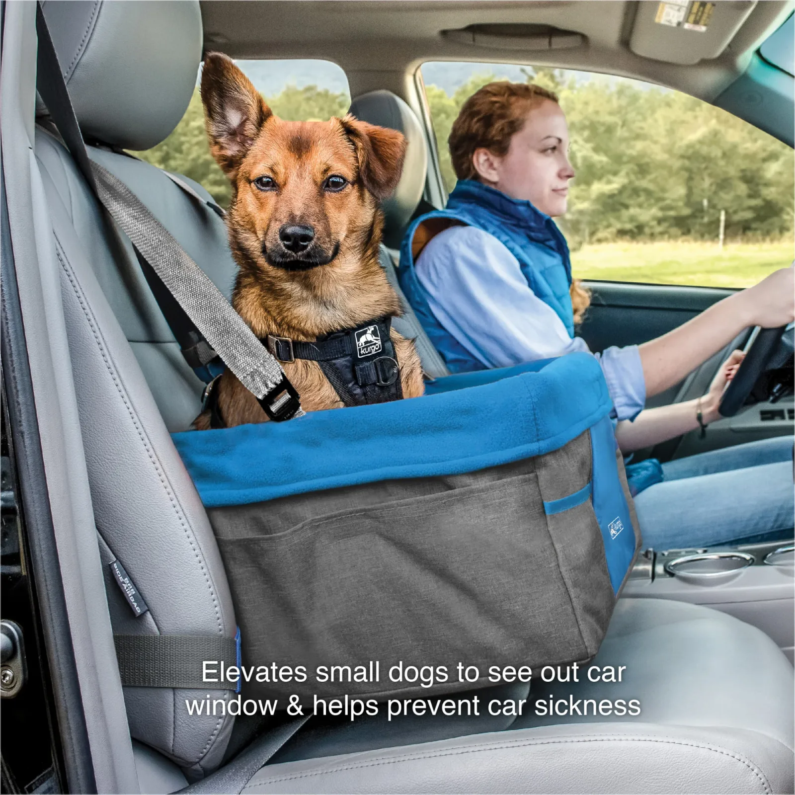 Kurgo Heather Dog Booster Seat for Travel - Image 2