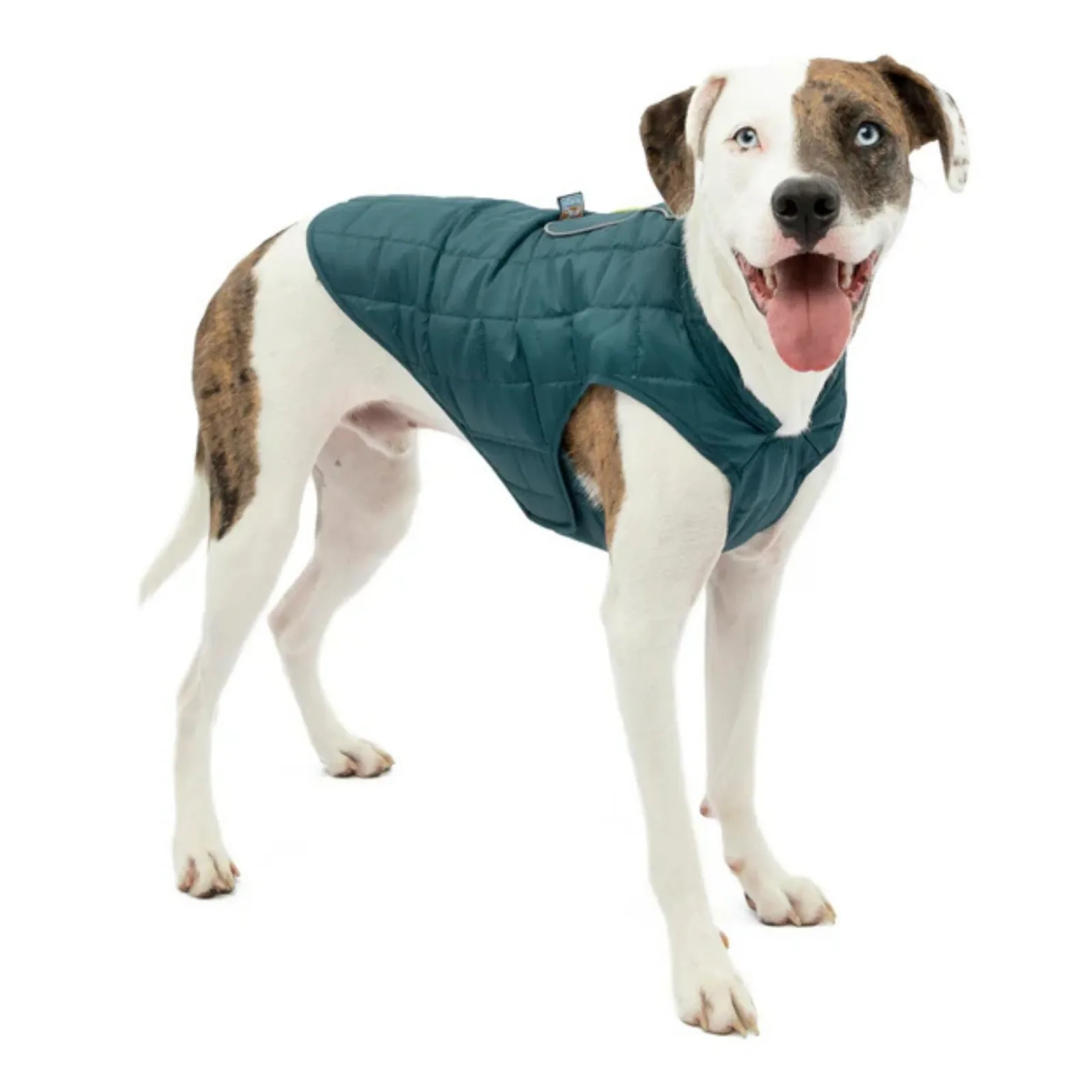 Kurgo Loft Dog Jacket - Ink Blue, Large - Image 2