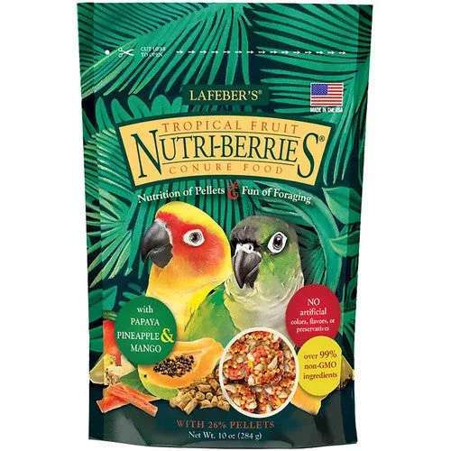 Lafeber Company Tropical Fruit Nutri-Berries Conure Bird Food 10oz - Image 2