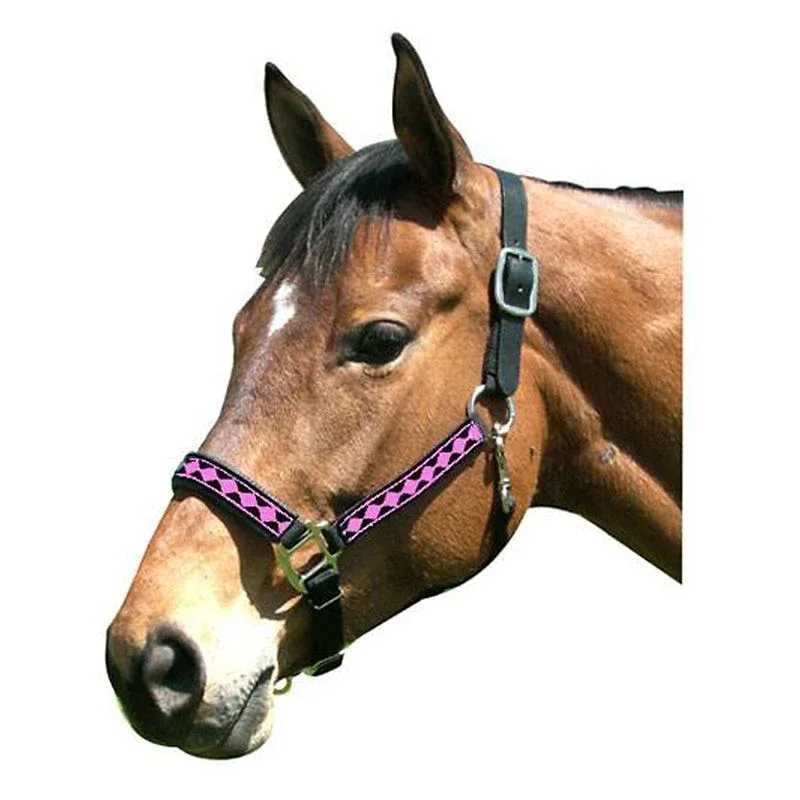 Leather Crown Diamond Pattern Halter - Image 2