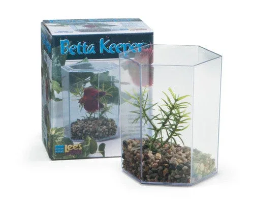 Lees Betta Keeper with Lid Gravel and Plant Clear 24 oz - Image 2