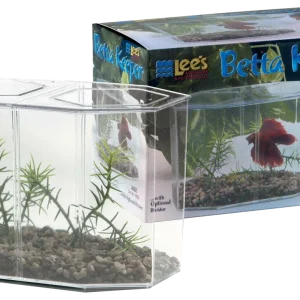 Lees Betta Keeper with Lid Gravel and Plant Clear 60 oz