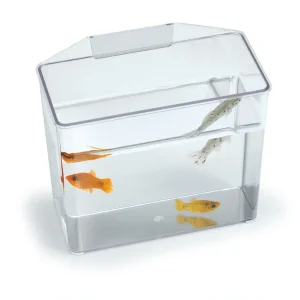 Lees Break Resistant Specimen Container Clear LG