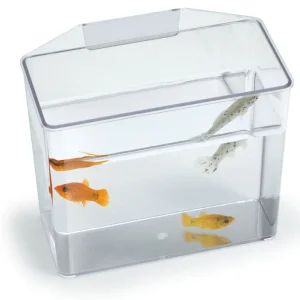 Lees Break Resistant Specimen Container Clear SM