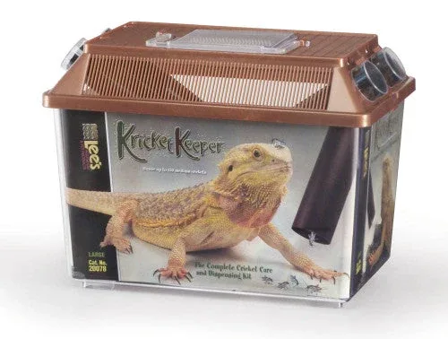 Lees Kricket Keeper Brown LG - Image 2
