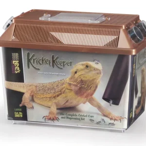 Lees Kricket Keeper Brown LG