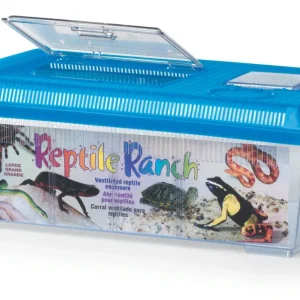Lees Rectangle Reptile Ranch Assorted 17.75in X 6.87in LG