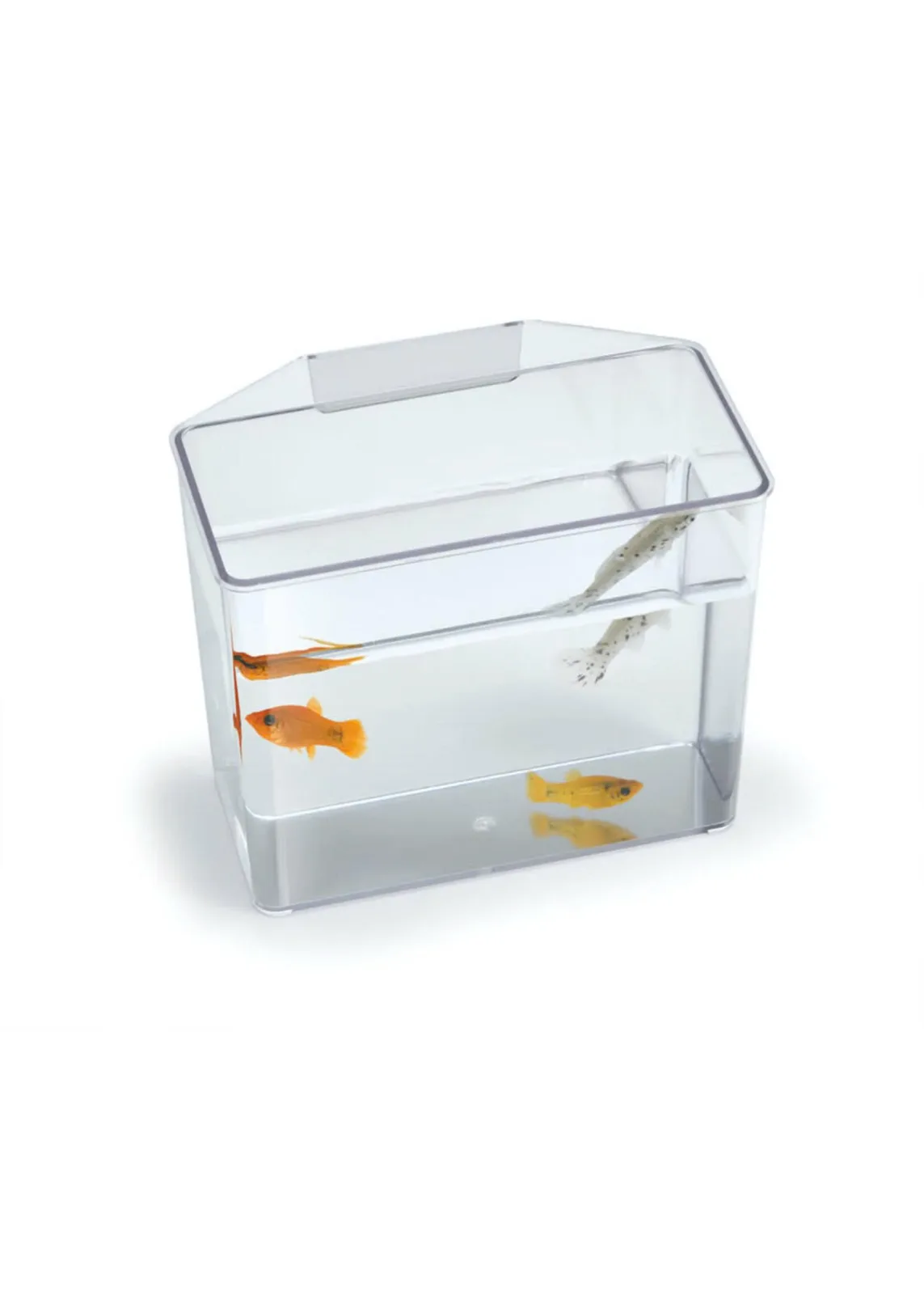 Lee's SPECIMEN CONTAINER SM HVY DUTY