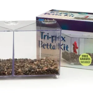 Lees Triplex Betta Tank Clear 24 oz