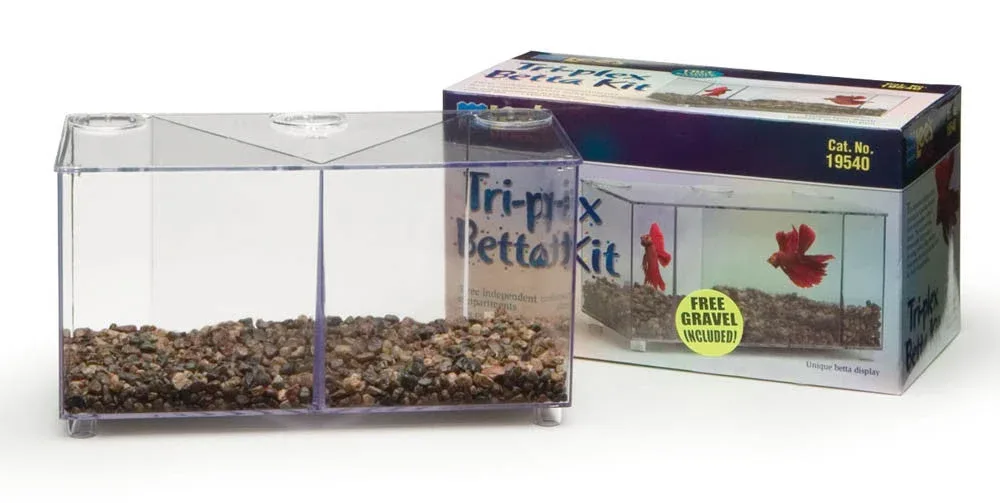 Lees Triplex Betta Tank Clear 24 oz