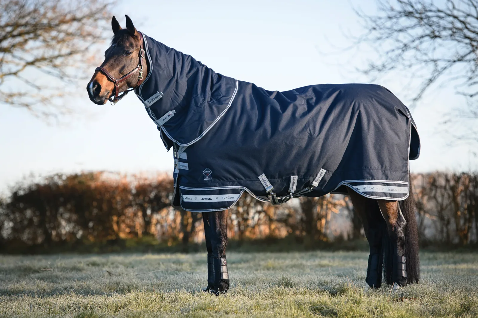 LeMieux® Arika Storm-Tek 200 Gram Turnout Blanket