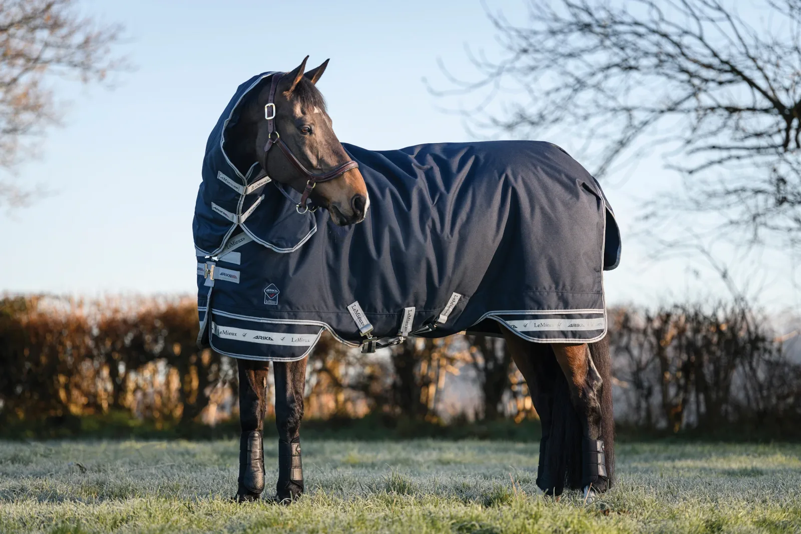 LeMieux® Arika Storm-Tek 200 Gram Turnout Blanket - Image 2