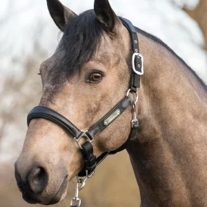 LeMieux® Capella Halter