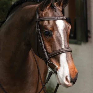 LeMieux® Hunter-Stitched Bridle