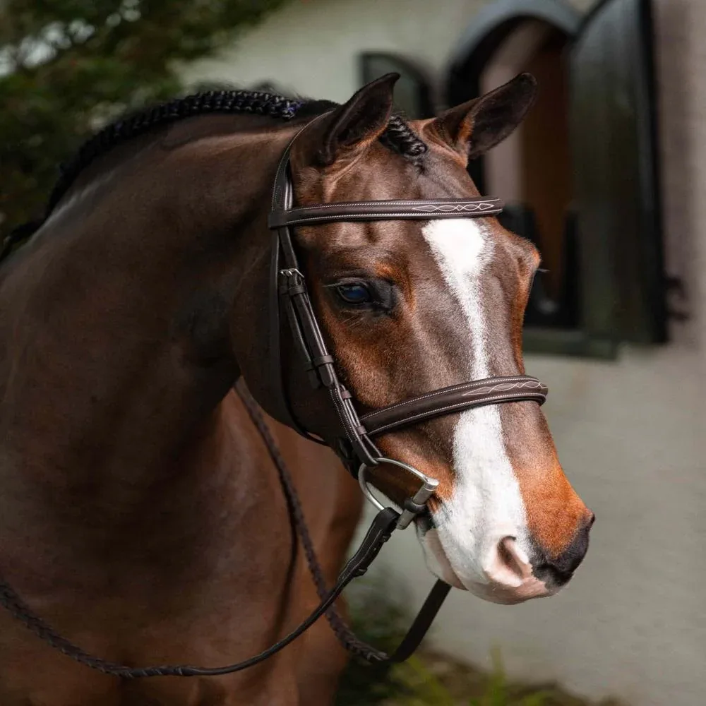 Lemieux Hunter Stitched Bridle with Laced Reins - Image 2
