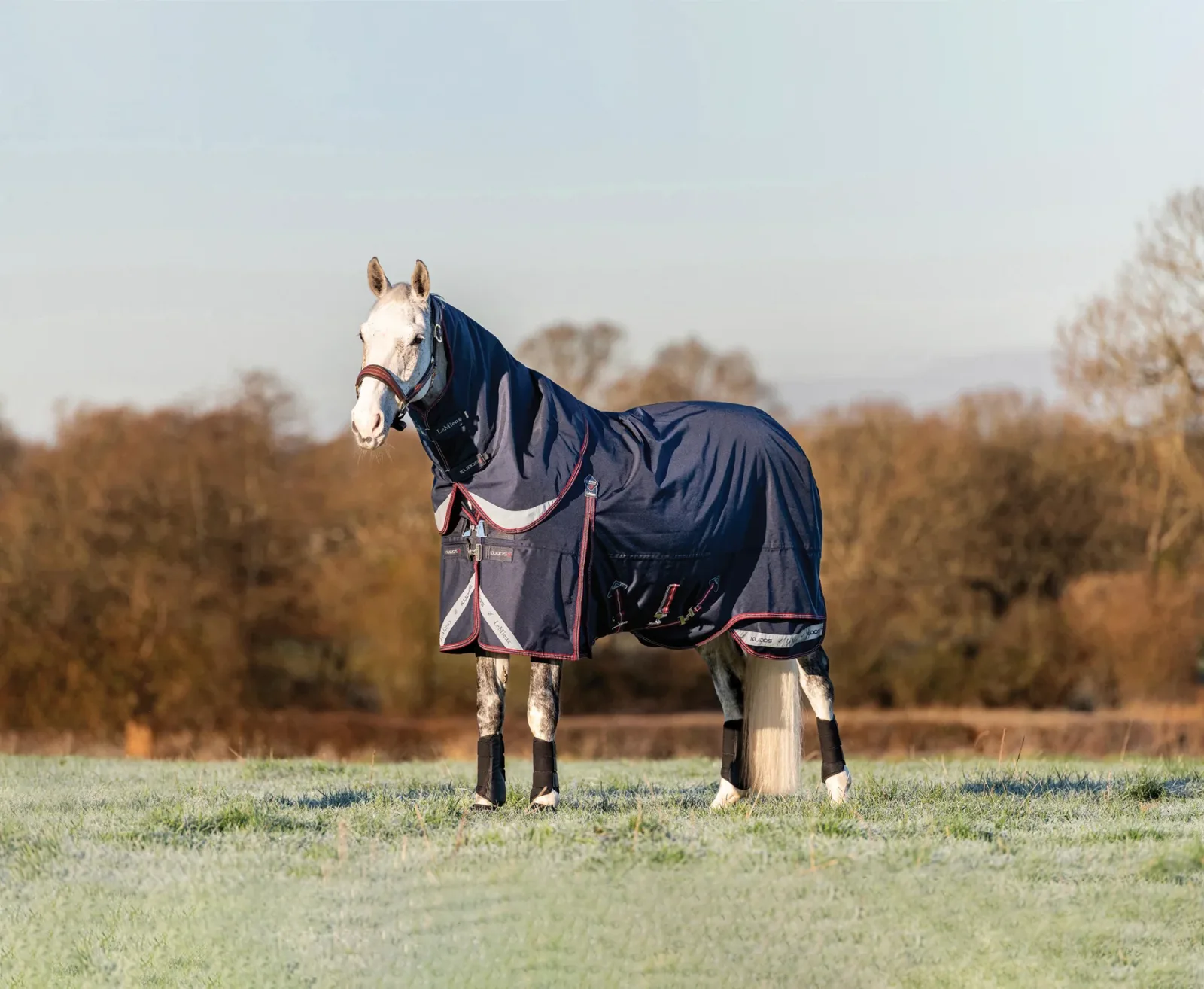 LeMieux® Kudos 200 Gram Turnout Blanket
