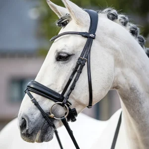 LeMieux® Kudos Dressage Flash Bridle