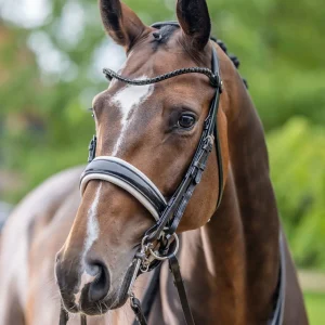 LeMieux® Kudos Patent Double Bridle