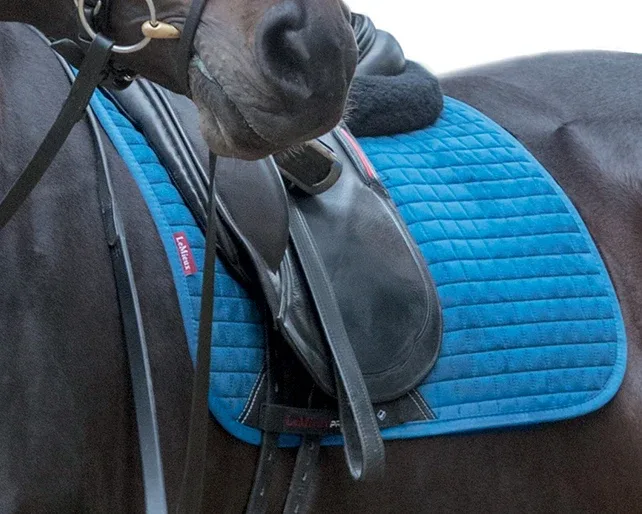 LeMieux™ ProSport Lustre Dressage Square - Image 2