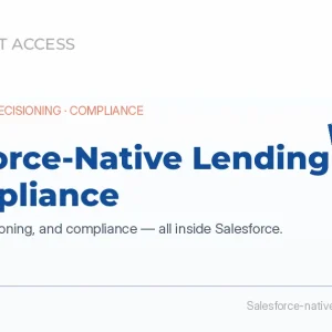 Loan Fraud Prevention in Salesforce