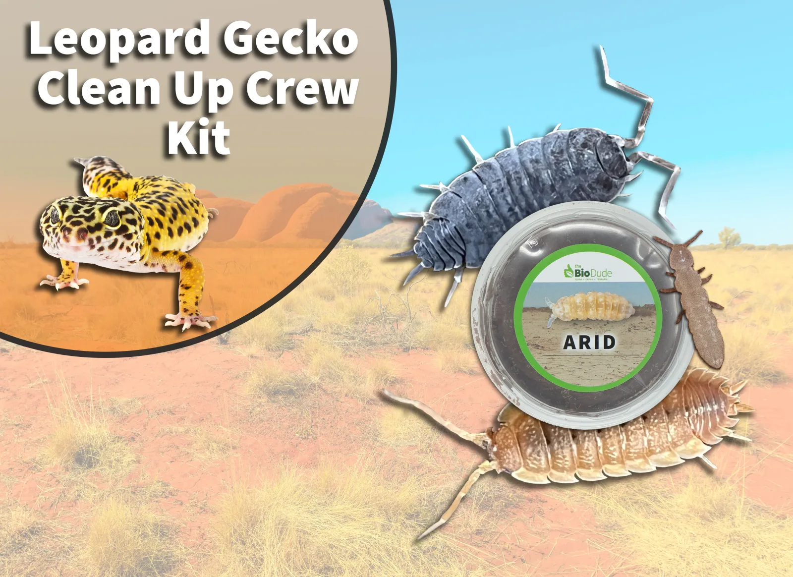 Leopard Gecko Clean Up Crew Pack FREE SHIPPING