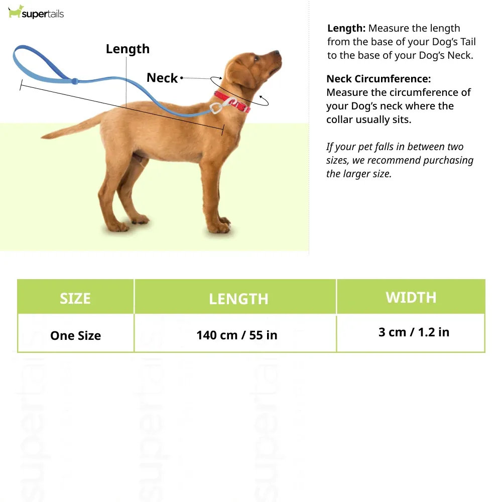 Let's Wag Double Handle Fabric Leash for Dogs (Orange) - Image 2