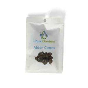 LG Alder Cones 25ct