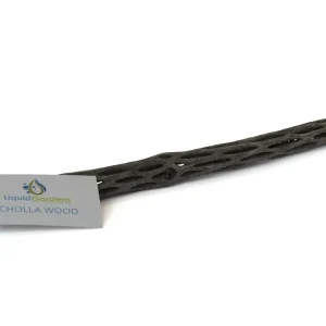 LG Cholla Wood 12in