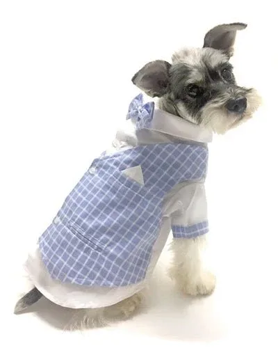 License to Charm Tux - Image 2