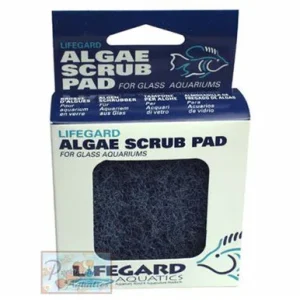 LifeGard Glass Algae Pad 3"x3"