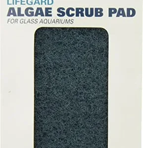 LifeGard Glass Algae Pad 4"x6"