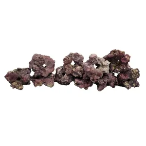 LifeRock Fraggerz - 10 Pack - Caribsea