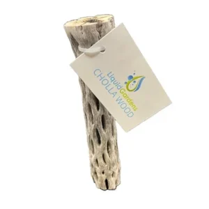 Liquid Gardens 6" Cholla Wood