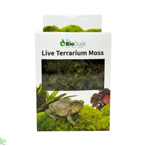 Live Pillow Moss for Bioactive Terrariums
