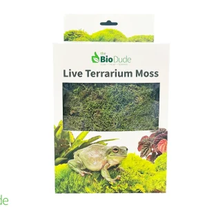 Live Sheet Moss for Bioactive Terrariums