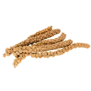 Living World Spray Millet Bird Treat