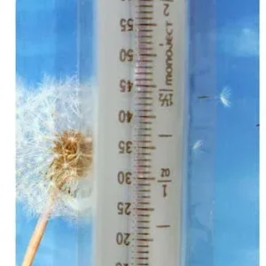 Lixit Hand Feeding Syringe for Baby Animals 60 ml
