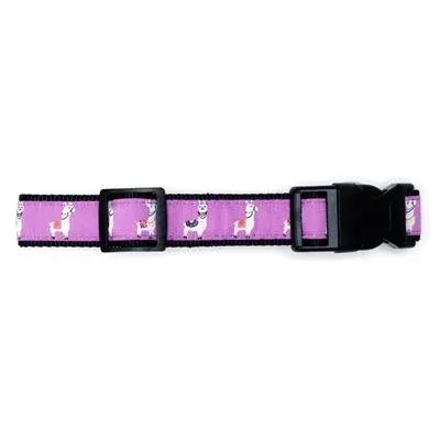 Llamas Collar & Lead Collection - Image 2