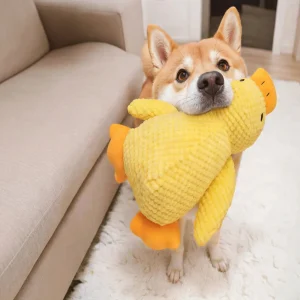 Low-Quack Duck Toy