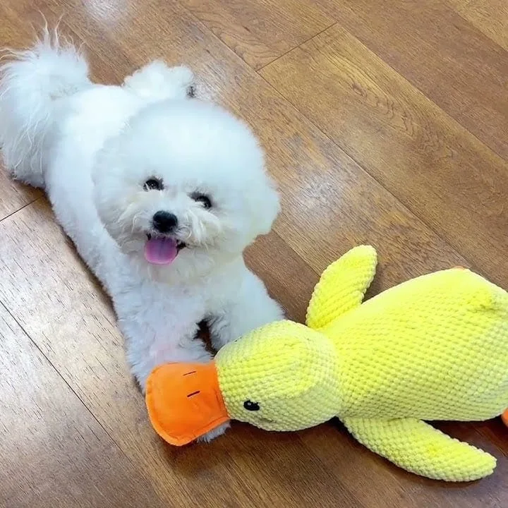 Low-Quack Duck Toy - Image 2