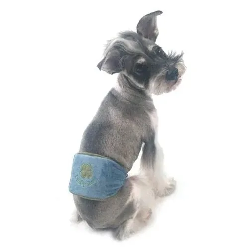 Lucky Dog Belly Band - Image 2